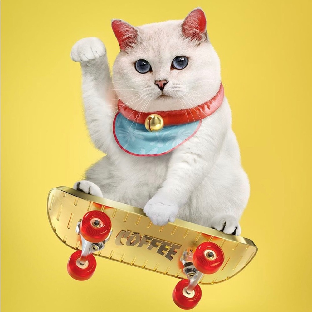 Meet your Posher, Shinnybee